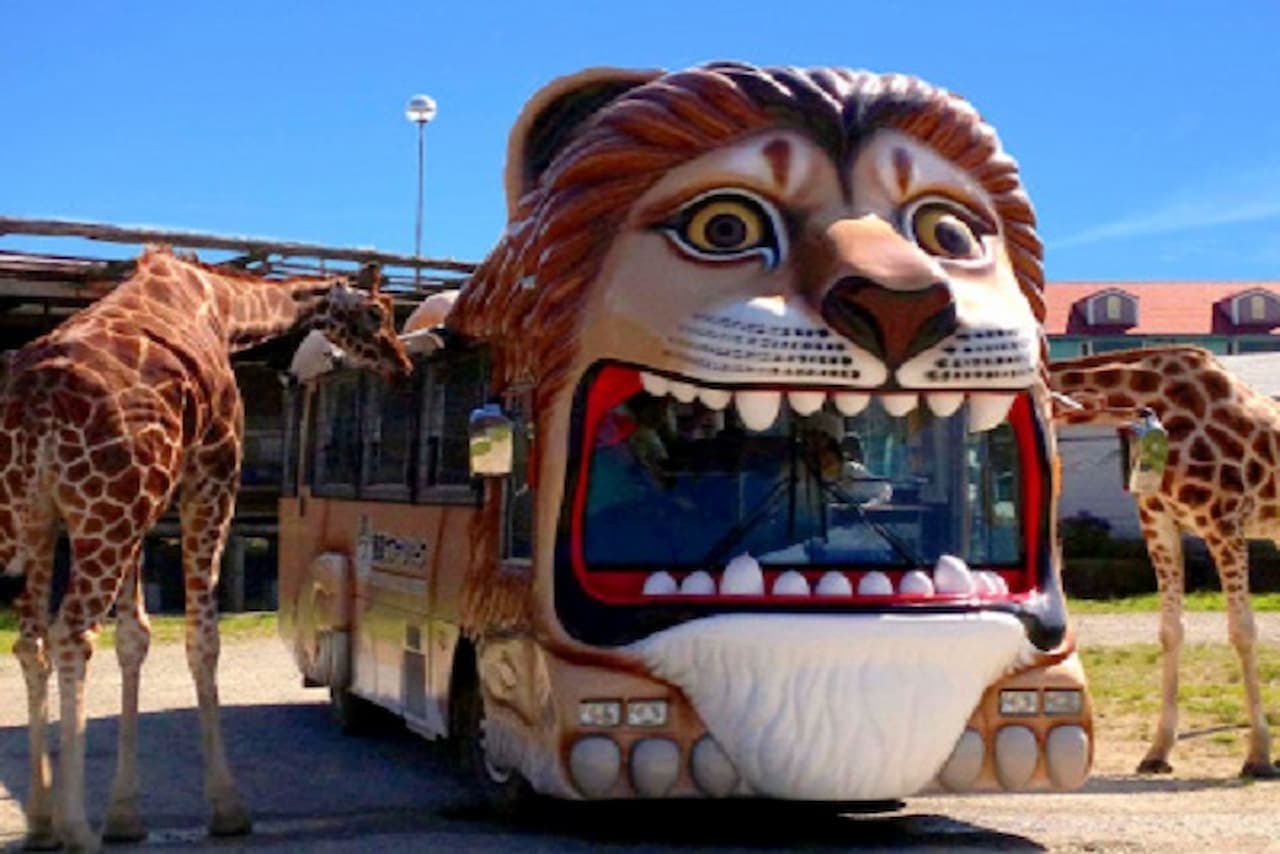Nasu Safari Park Ticket - image 3